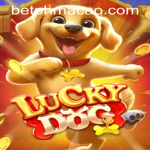 Exploring LuckyDog: A Thrilling Experience at PHMACAO Casino